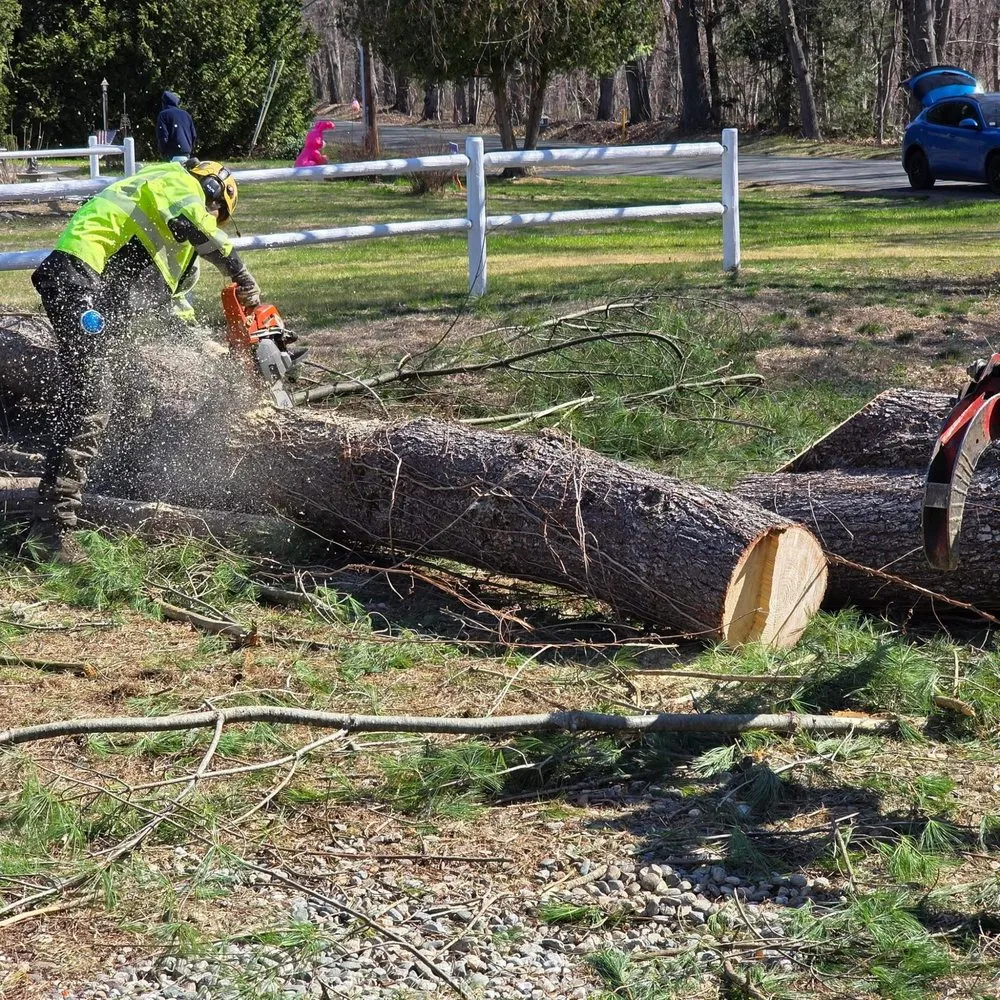Local lawn mowing service in Deerfield, MA - Northeast Tree Care & Landscaping