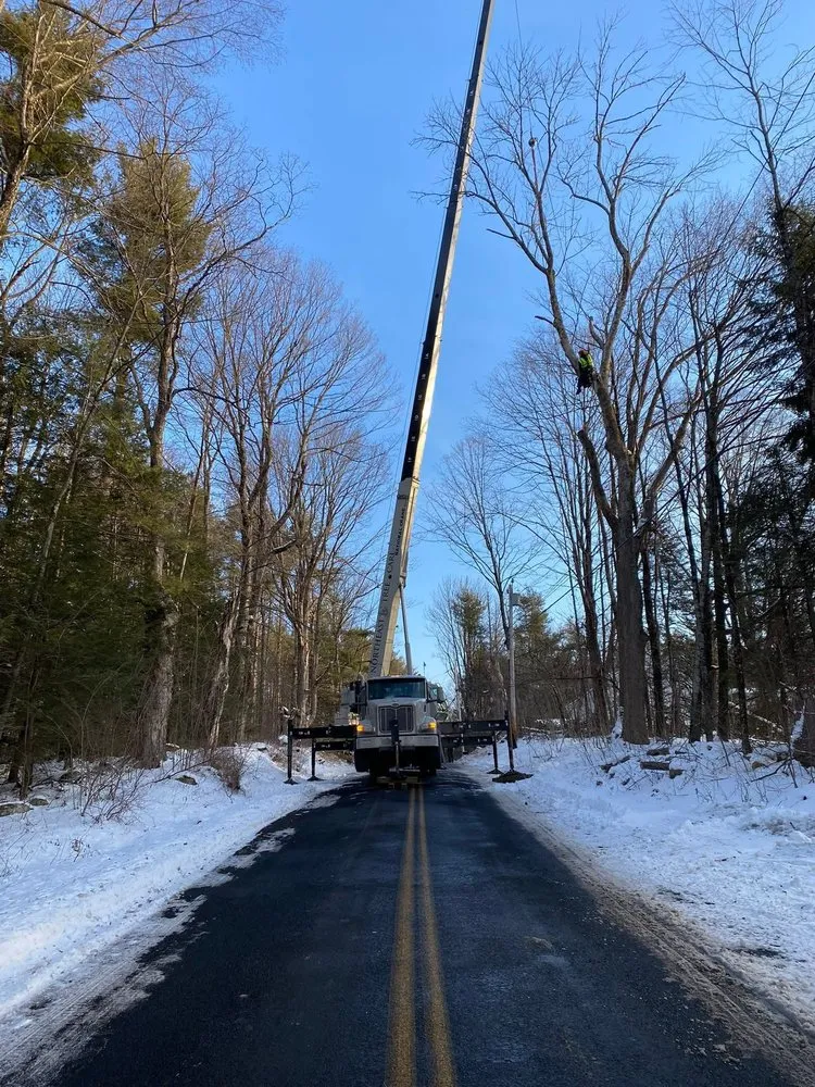 Trusted landscape design experts serving Deerfield, MA - Northeast Tree Care & Landscaping