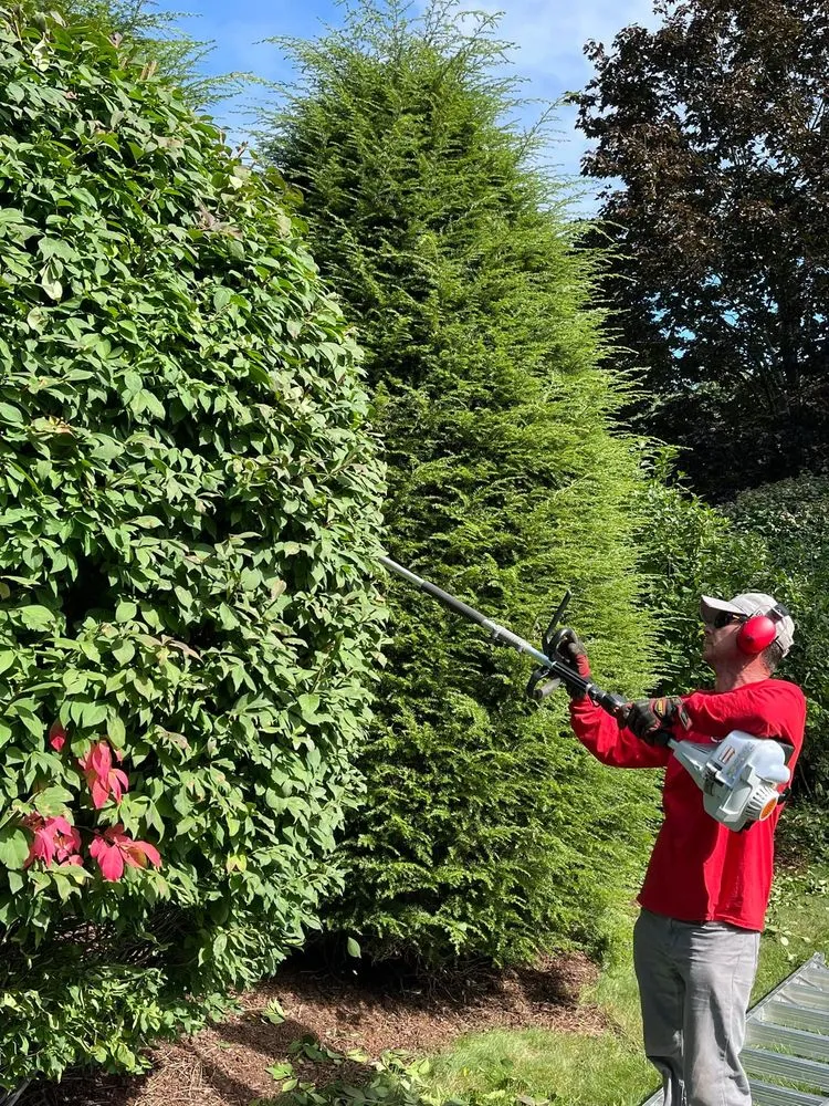 Custom landscaping services in Attleboro Falls, MA by Northeast Turf Pros