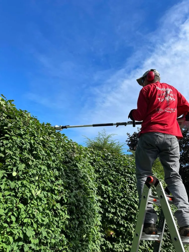 Top-rated landscape design in Attleboro Falls, MA by Northeast Turf Pros