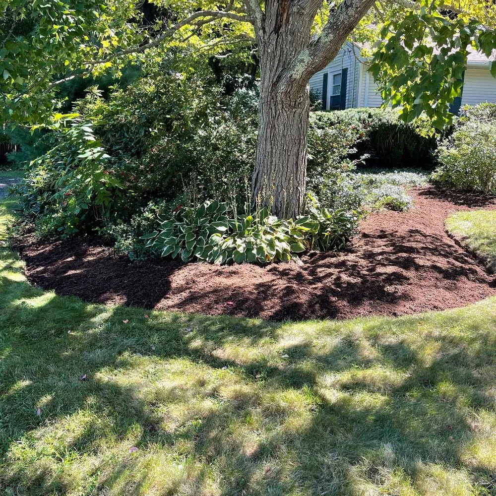 Custom lawn mowing service for outdoor upgrades in Attleboro Falls, MA by Northeast Turf Pros
