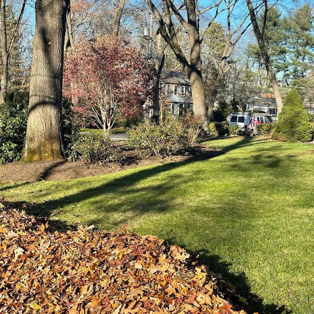 Expert landscape installation for outdoor upgrades across Attleboro Falls, MA - Northeast Turf Pros
