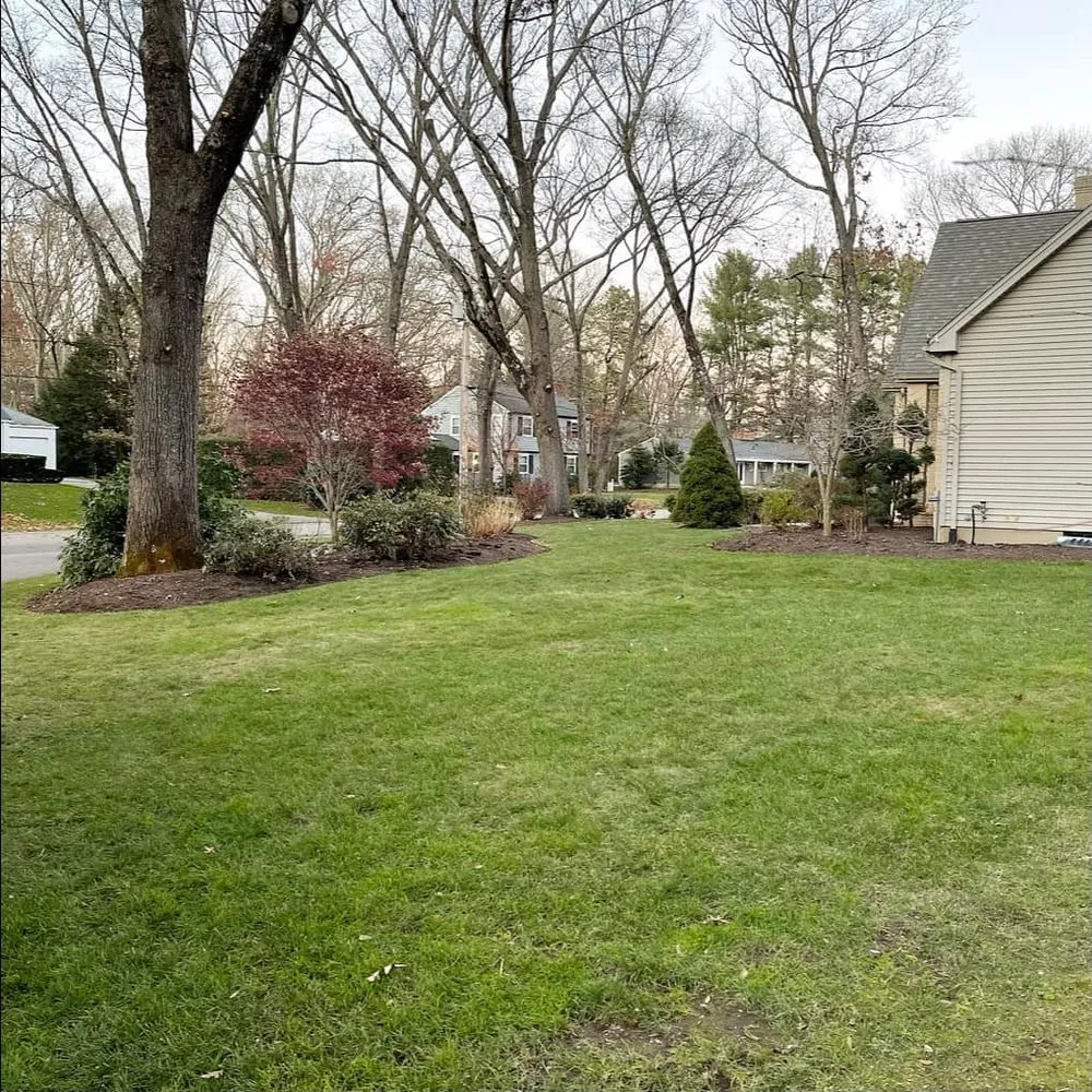 Expert landscaping services for residential properties in Attleboro Falls, MA by Northeast Turf Pros