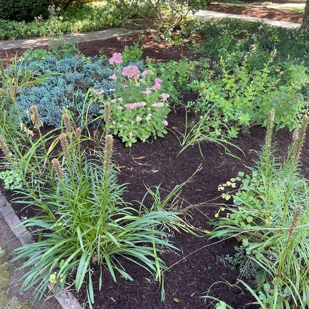 Professional landscaping services in Attleboro Falls, MA - Northeast Turf Pros
