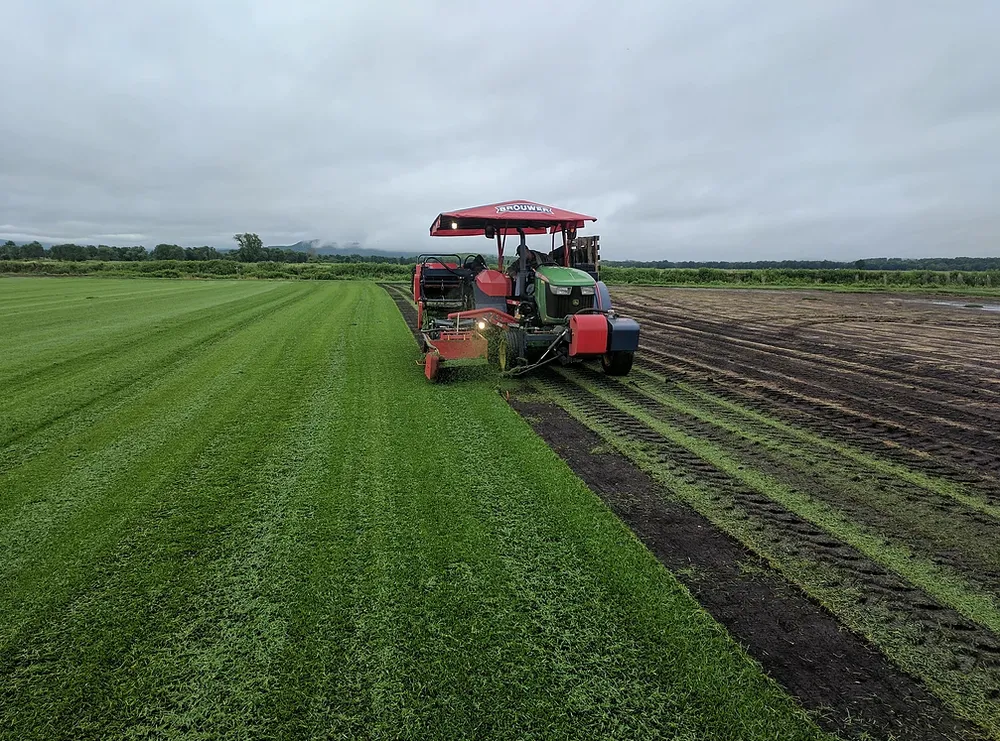 Top-rated residential landscaping experts serving New Hampton, NY - Northeast Wholesale Turf