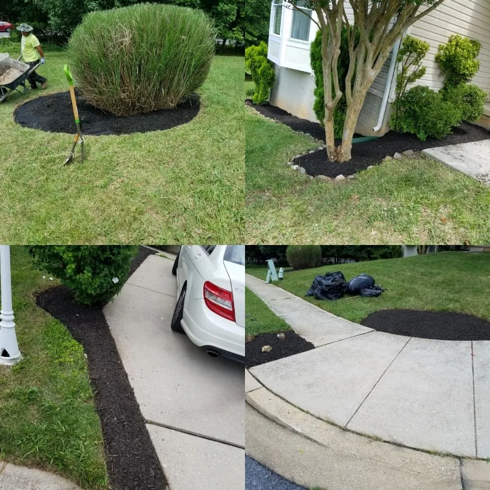 Professional lawn care service in Baltimore, MD by Northeastkutz Lawn Services