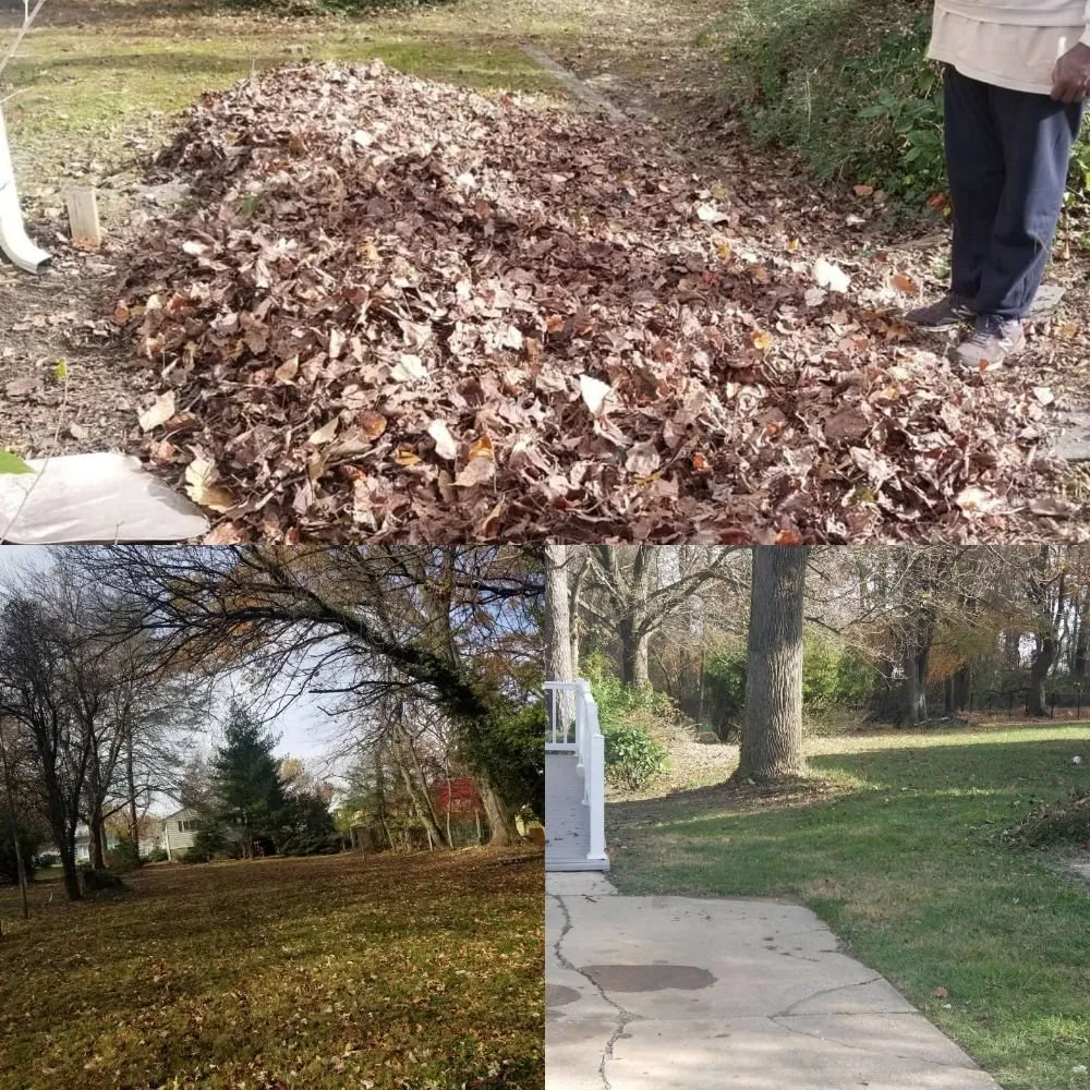 Local garden landscaping in Baltimore, MD by Northeastkutz Lawn Services