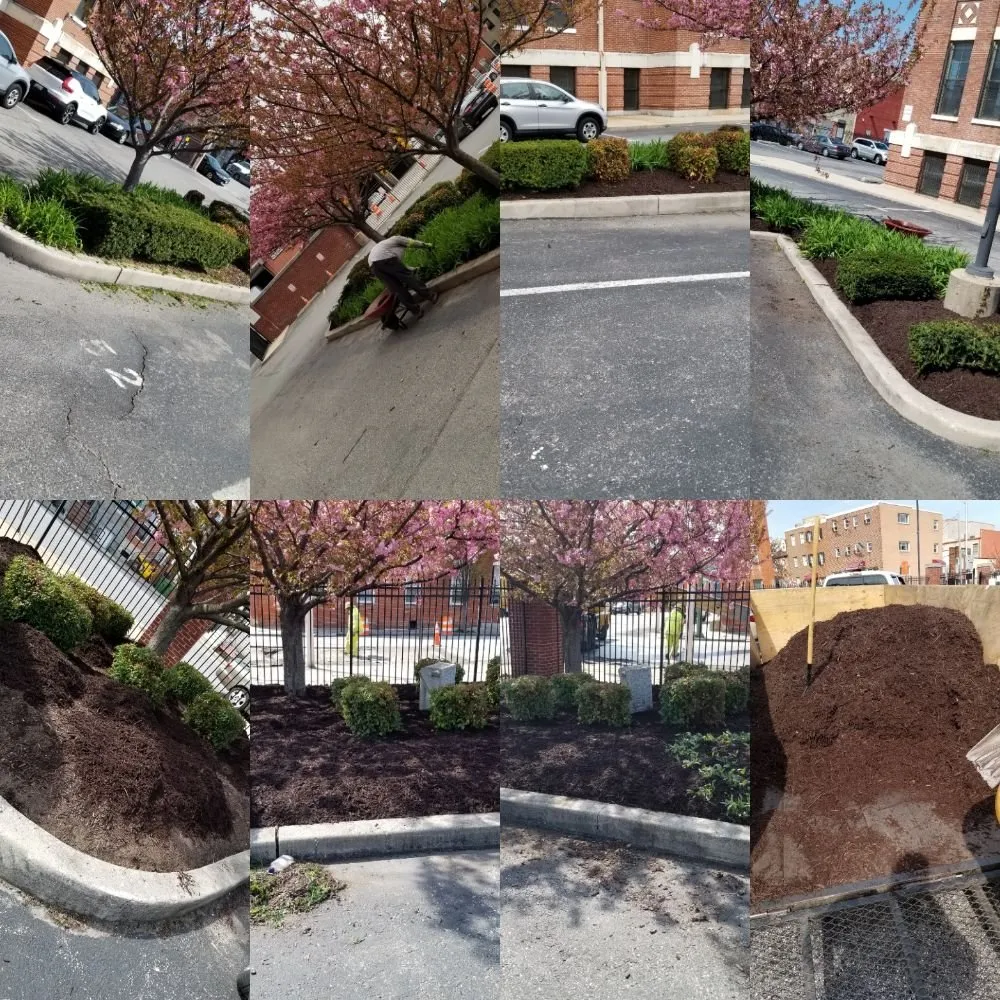 Local lawn care service in Baltimore, MD by Northeastkutz Lawn Services