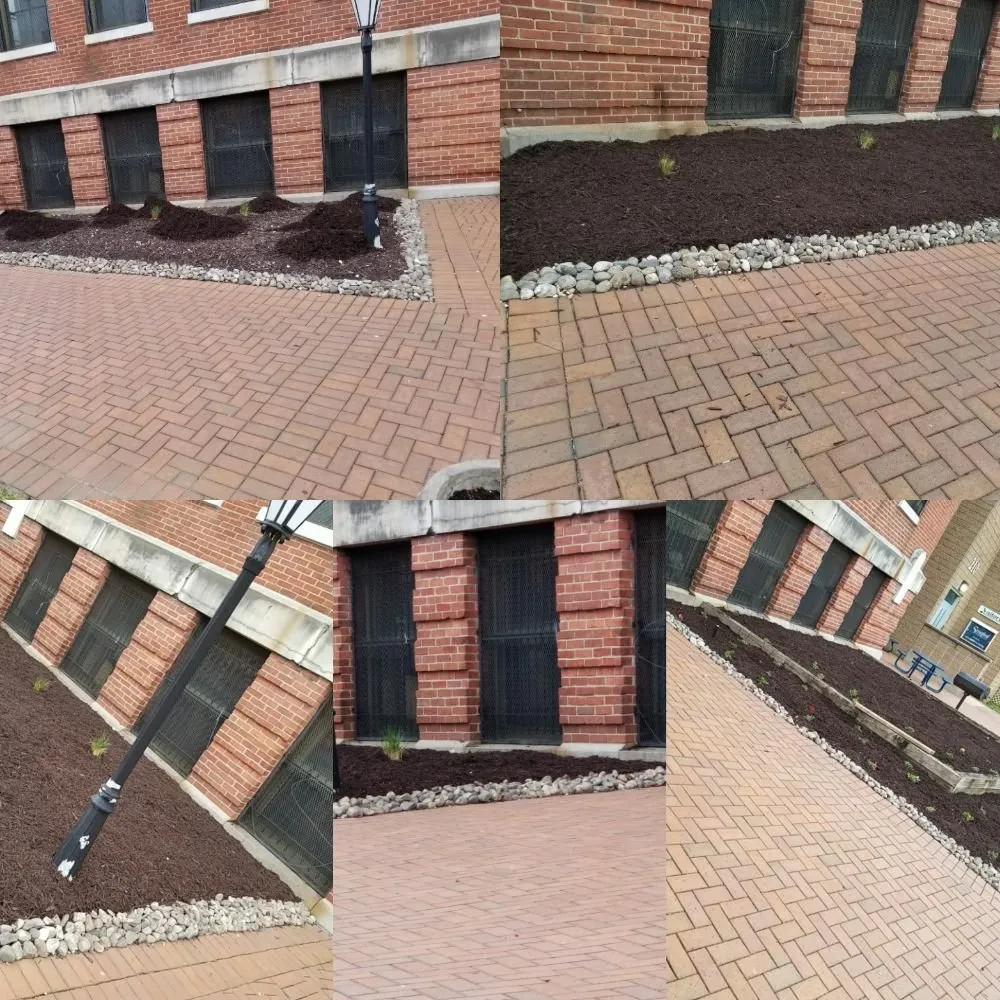 Trusted lawn mowing service in Baltimore, MD - Northeastkutz Lawn Services