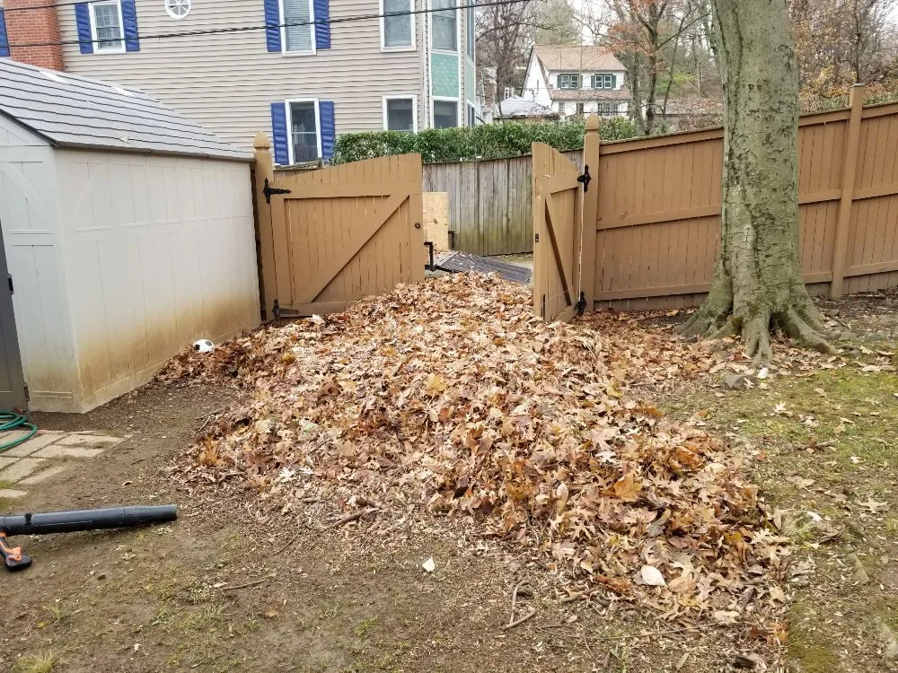 Affordable lawn mowing service for year-round maintenance across Baltimore, MD - Northeastkutz Lawn Services