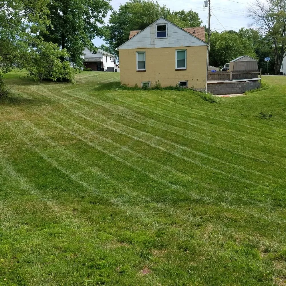 Affordable lawn care service in Baltimore, MD by Northeastkutz Lawn Services