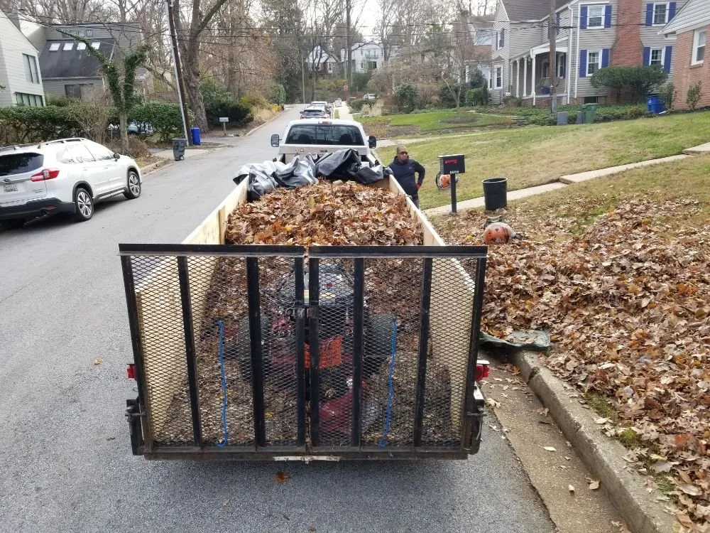 Local yard cleanup service in Baltimore, MD - Northeastkutz Lawn Services