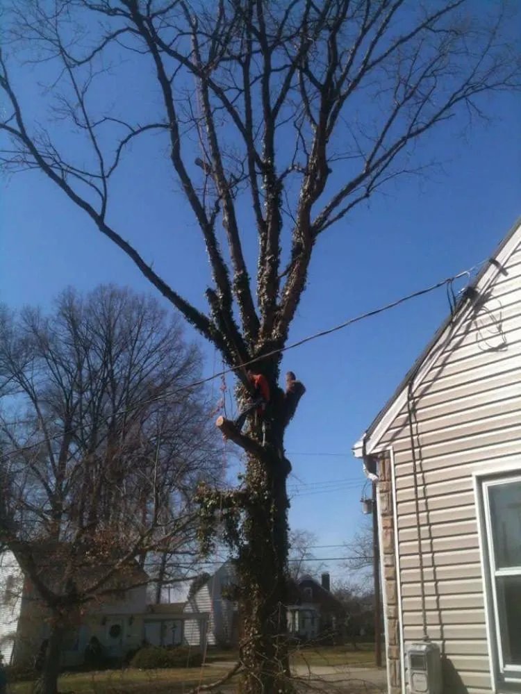 Affordable garden landscaping for beautiful yards in Mogadore, OH by Northern Arbor Tree Service and Landscape