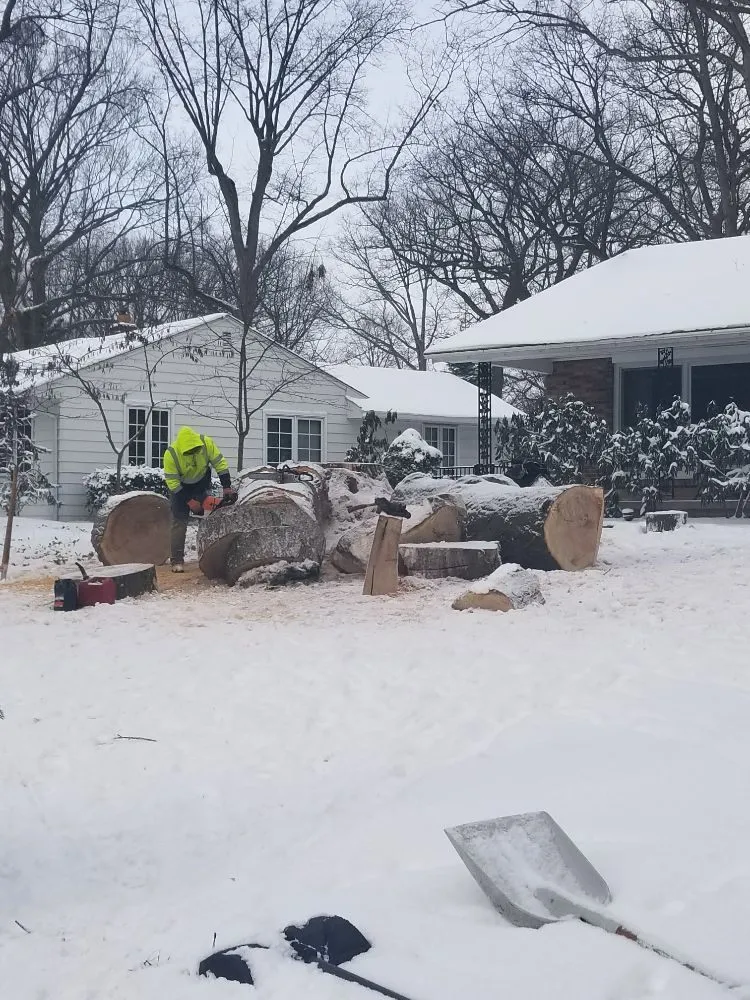 Local landscape installation experts serving Mogadore, OH - Northern Arbor Tree Service and Landscape