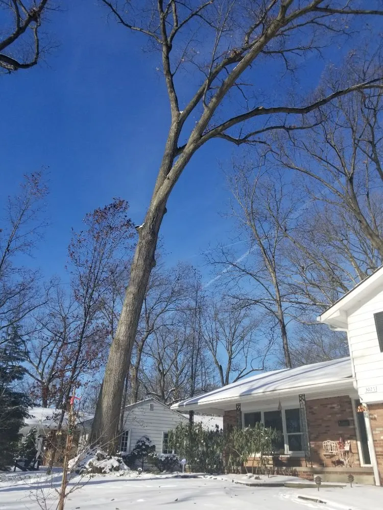 Expert lawn care service for residential properties in Mogadore, OH by Northern Arbor Tree Service and Landscape