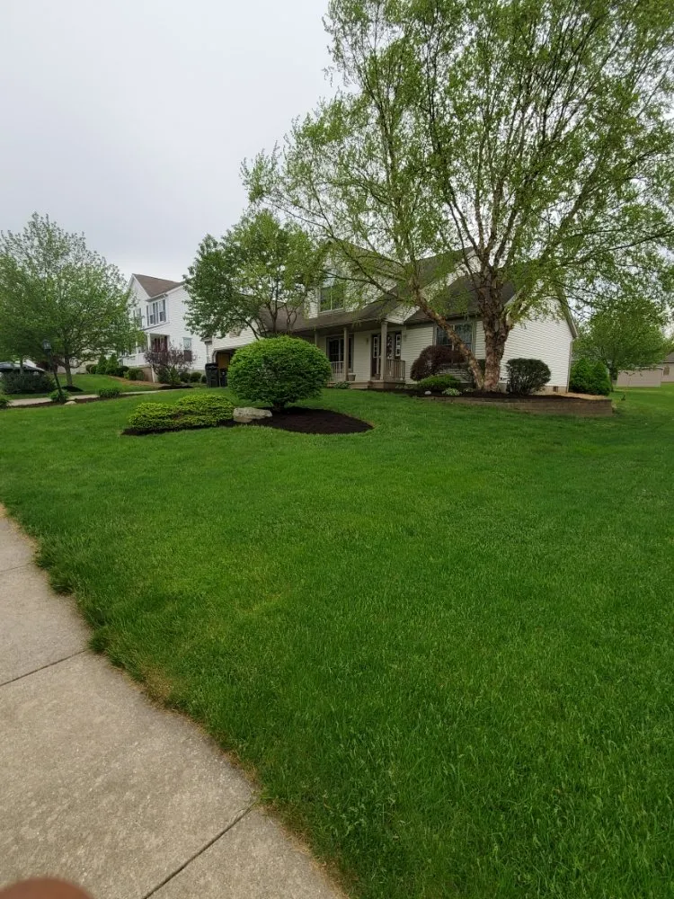 Reliable landscape installation for year-round maintenance across Mogadore, OH - Northern Arbor Tree Service and Landscape