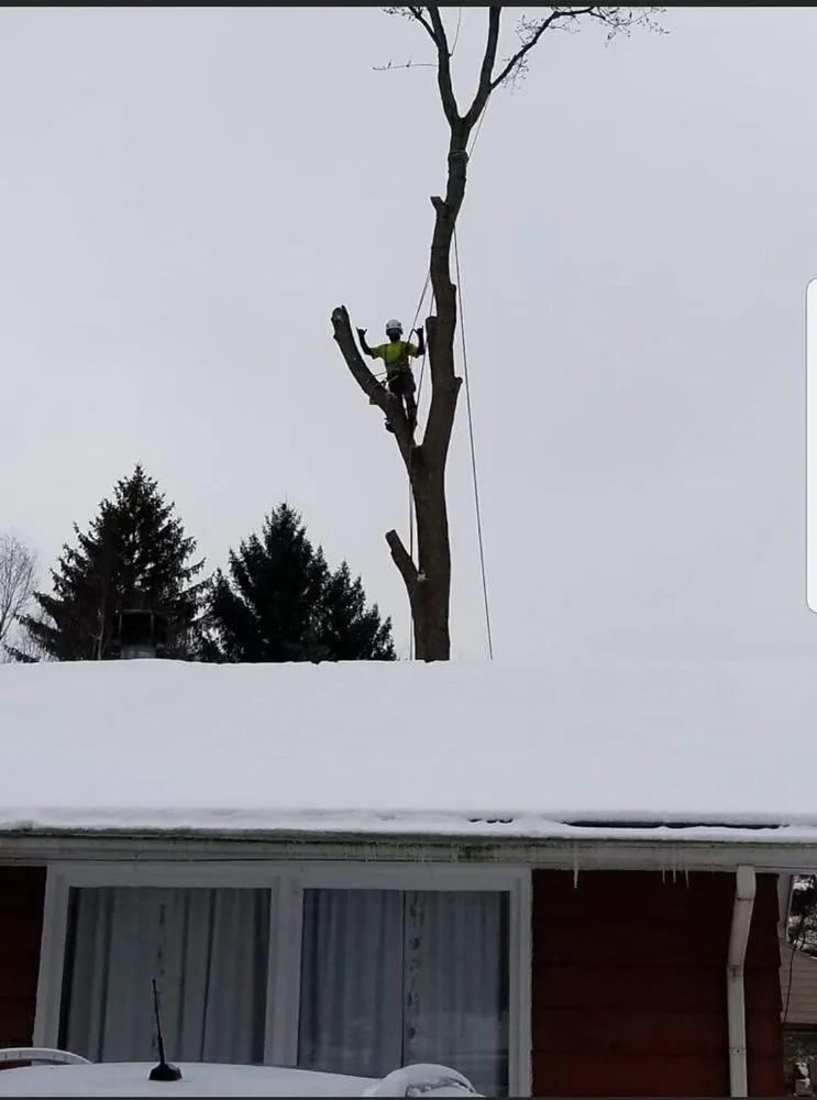 Expert lawn mowing service for homes across Mogadore, OH - Northern Arbor Tree Service and Landscape