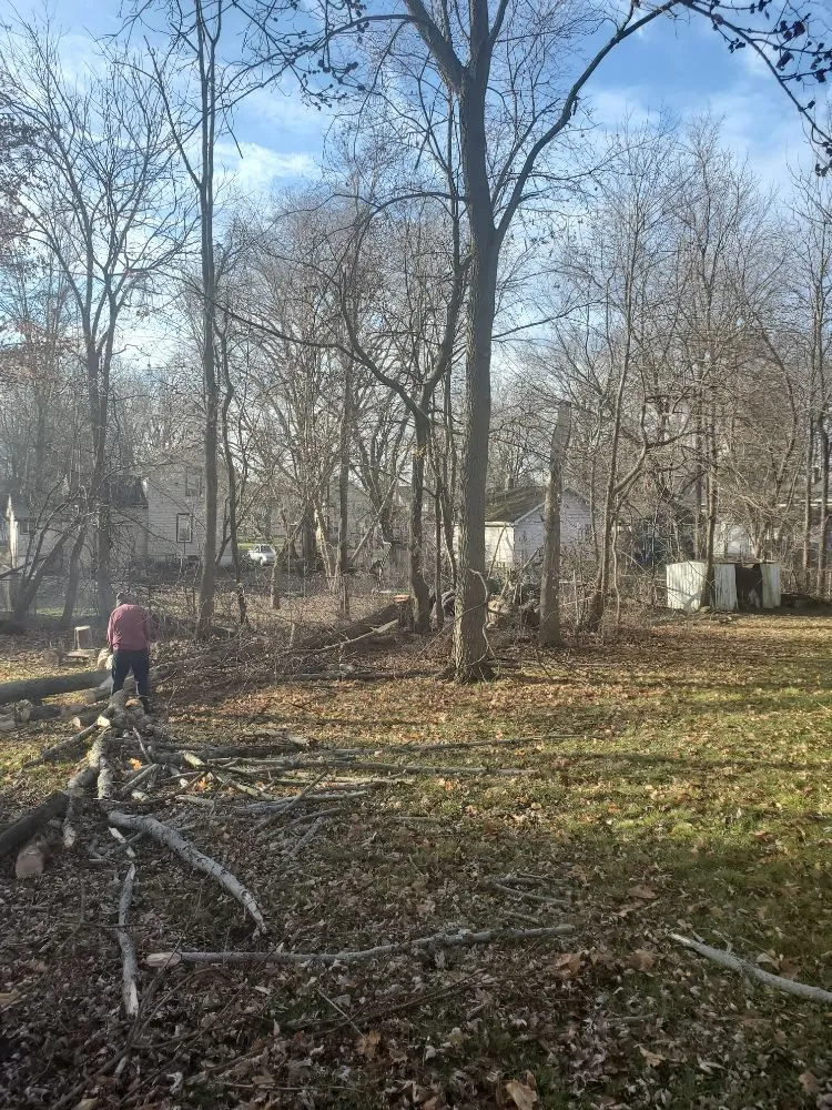 Professional garden landscaping experts serving Mogadore, OH - Northern Arbor Tree Service and Landscape