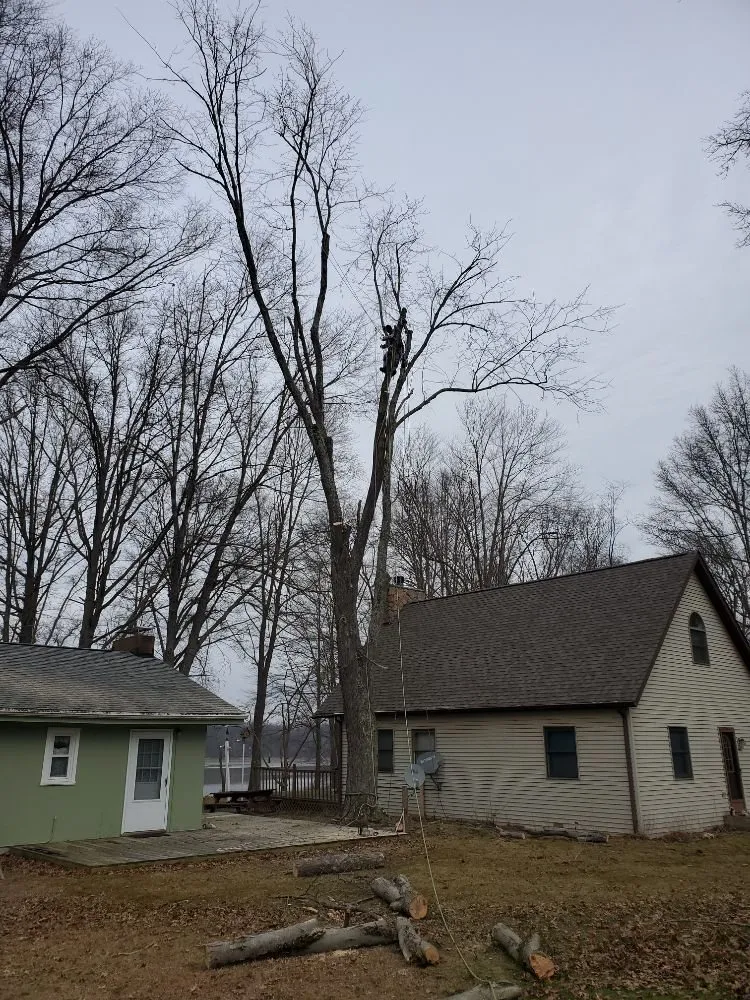 Local residential landscaping experts serving Mogadore, OH - Northern Arbor Tree Service and Landscape