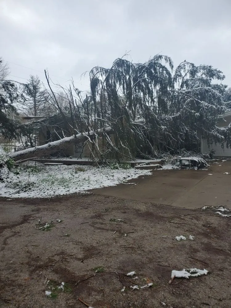Reliable landscape installation for year-round maintenance across Mogadore, OH - Northern Arbor Tree Service and Landscape