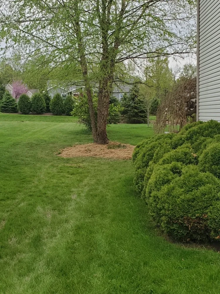 Professional garden landscaping in Mogadore, OH by Northern Arbor Tree Service and Landscape