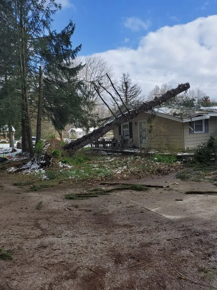 Reliable residential landscaping in Mogadore, OH - Northern Arbor Tree Service and Landscape