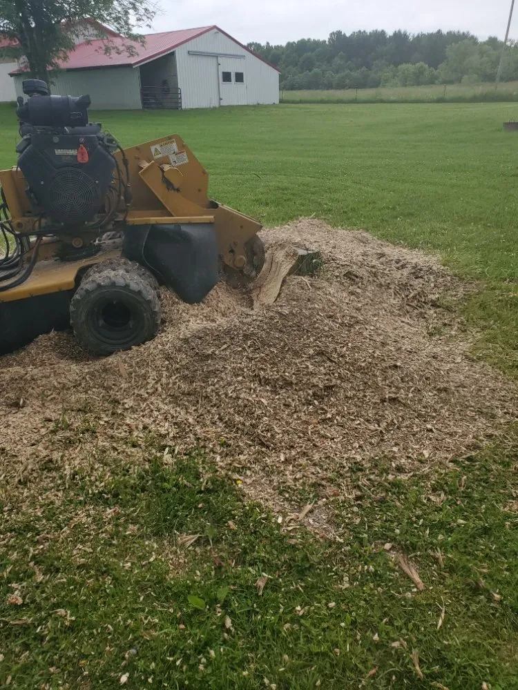 Expert lawn care service with custom design across Mogadore, OH - Northern Arbor Tree Service and Landscape