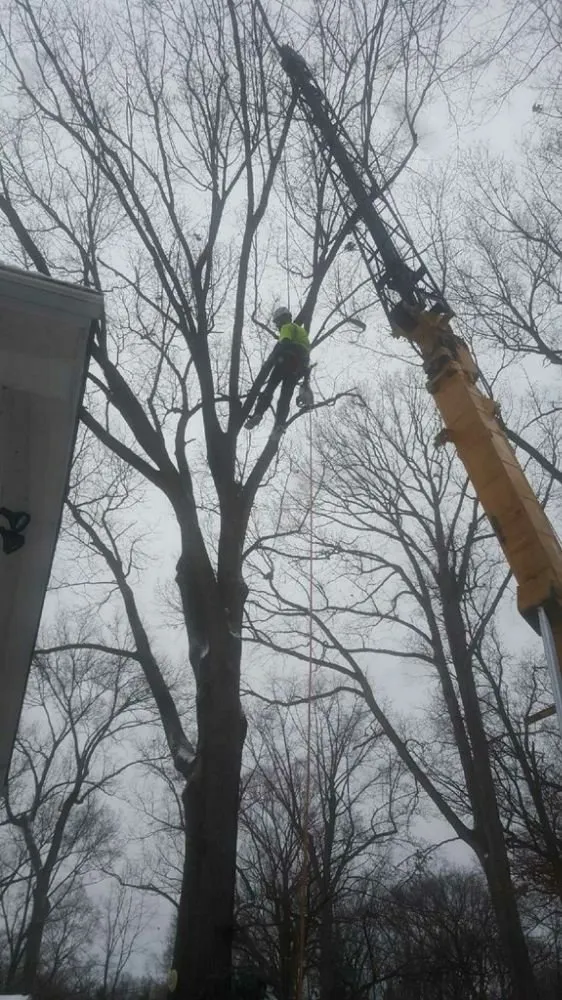 Reliable yard maintenance near you in Mogadore, OH by Northern Arbor Tree Service and Landscape