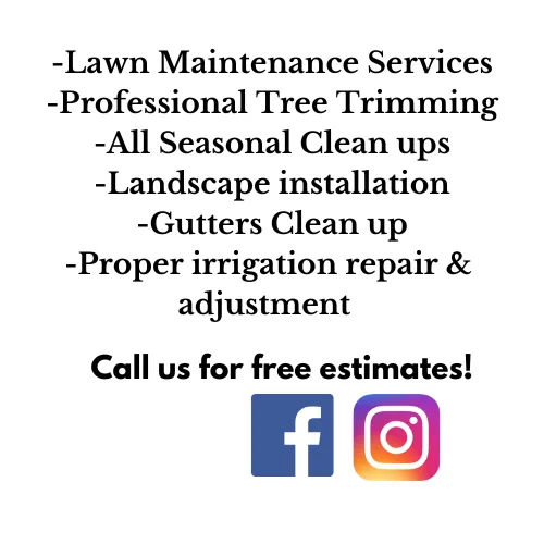 Professional landscaping services in Prescott Valley, AZ by Northern Arizona Professional Landscapes