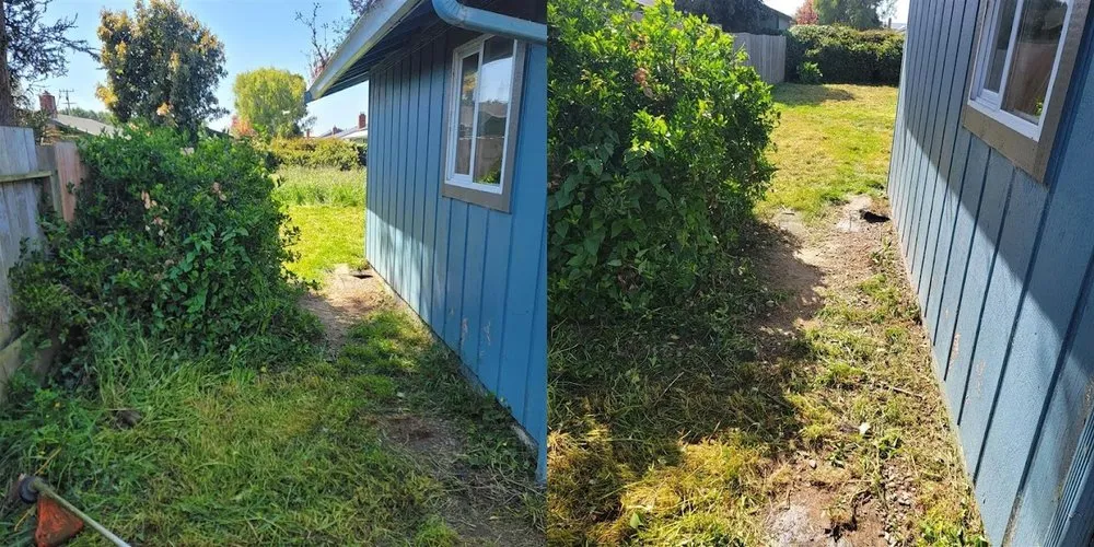 Expert yard cleanup service for year-round maintenance across McKinleyville, CA - Northern Bay Landscape