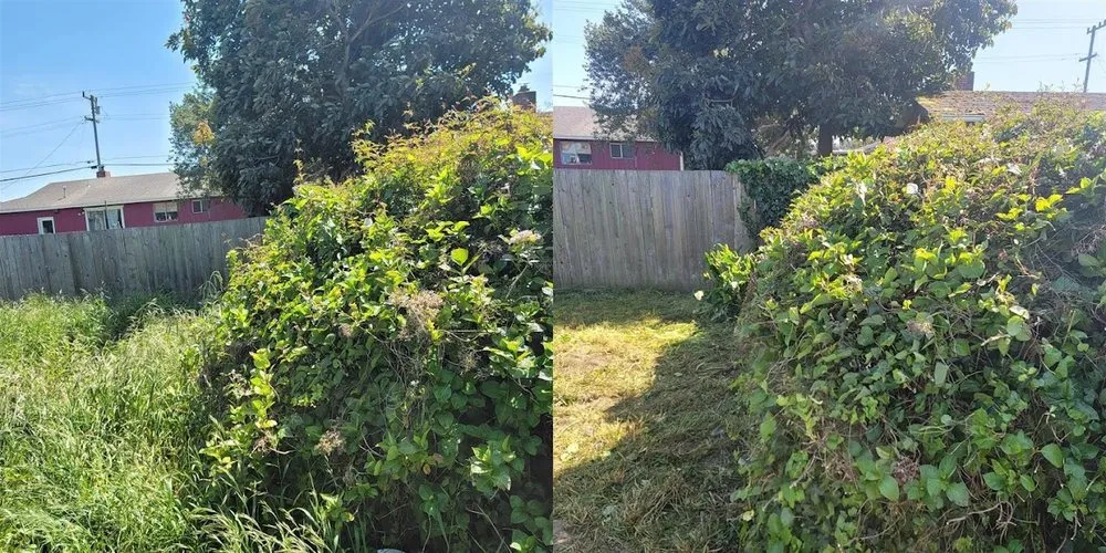Professional yard cleanup service near you in McKinleyville, CA by Northern Bay Landscape