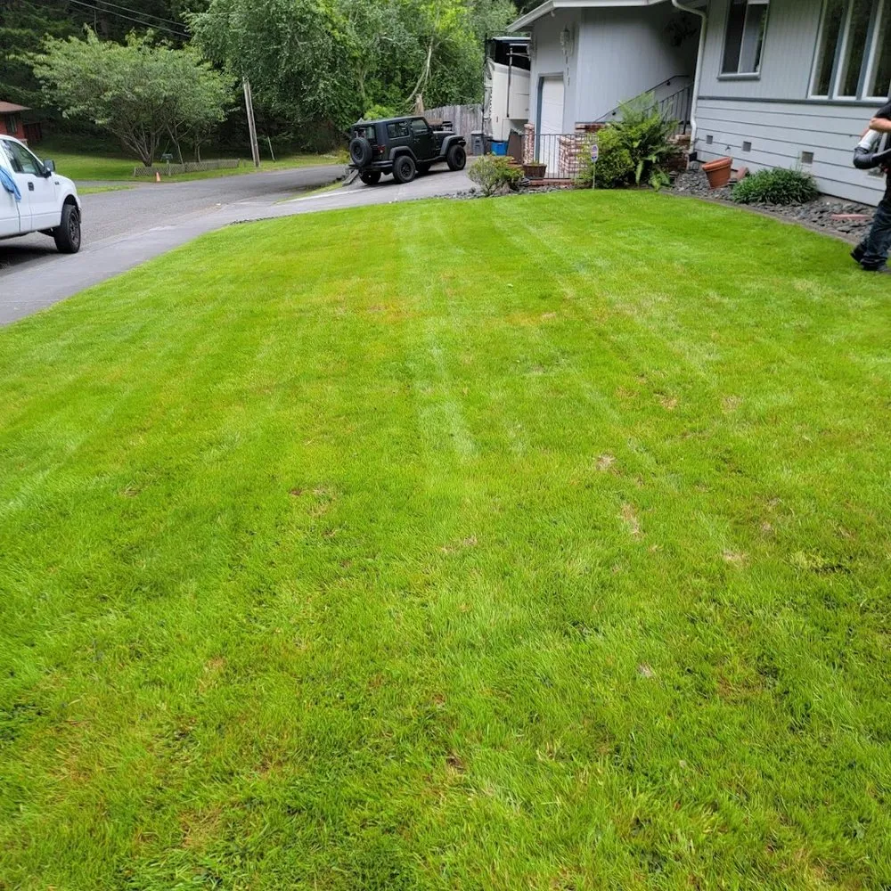 Top-rated lawn care service in McKinleyville, CA by Northern Bay Landscape