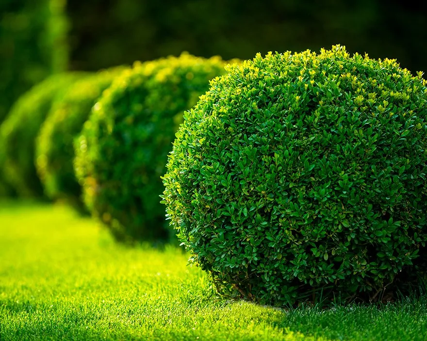 Affordable outdoor landscaping in McKinleyville, CA - Northern Bay Landscape