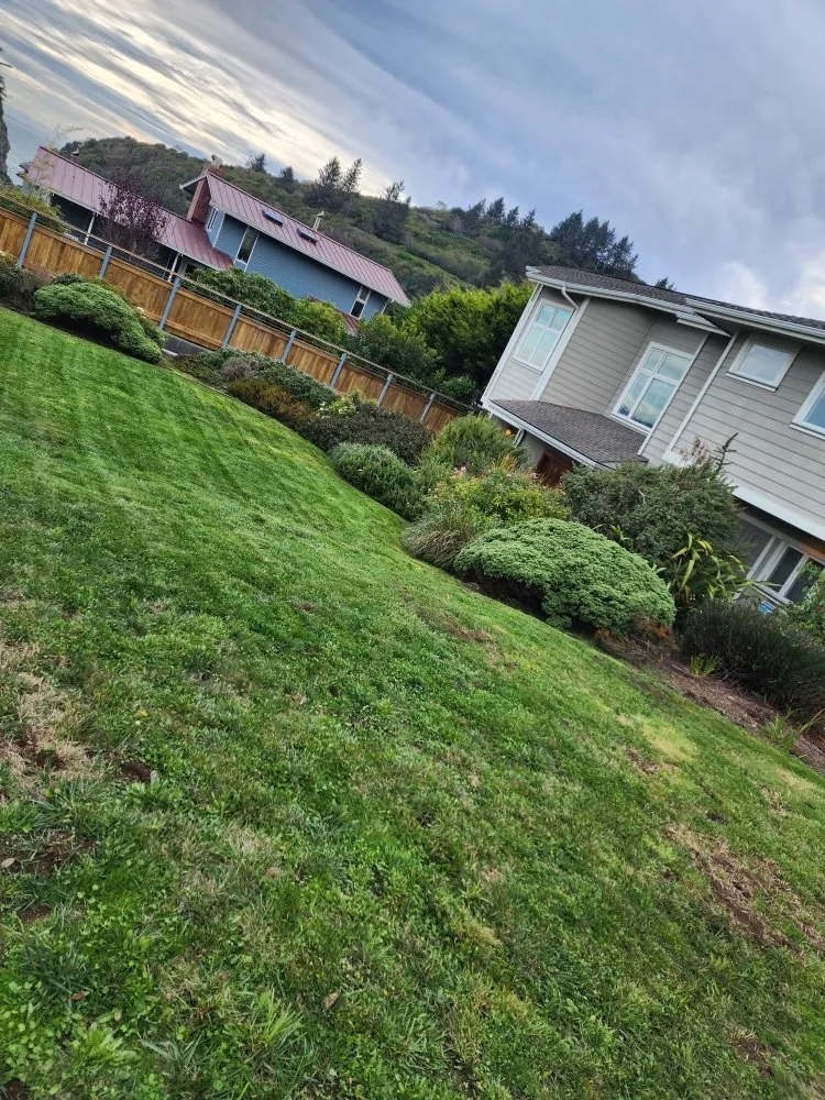Reliable yard cleanup service with custom design in McKinleyville, CA by Northern Bay Landscape