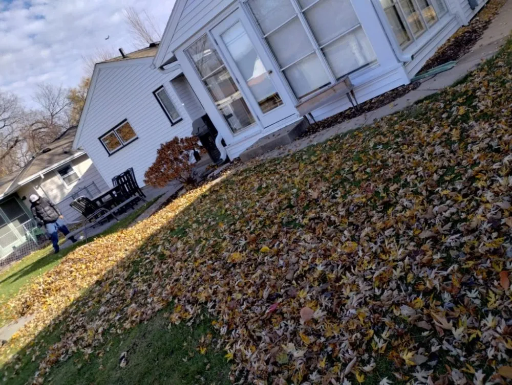 Top-rated yard maintenance experts serving Minneapolis, MN - Northern Bison snow and lawn service