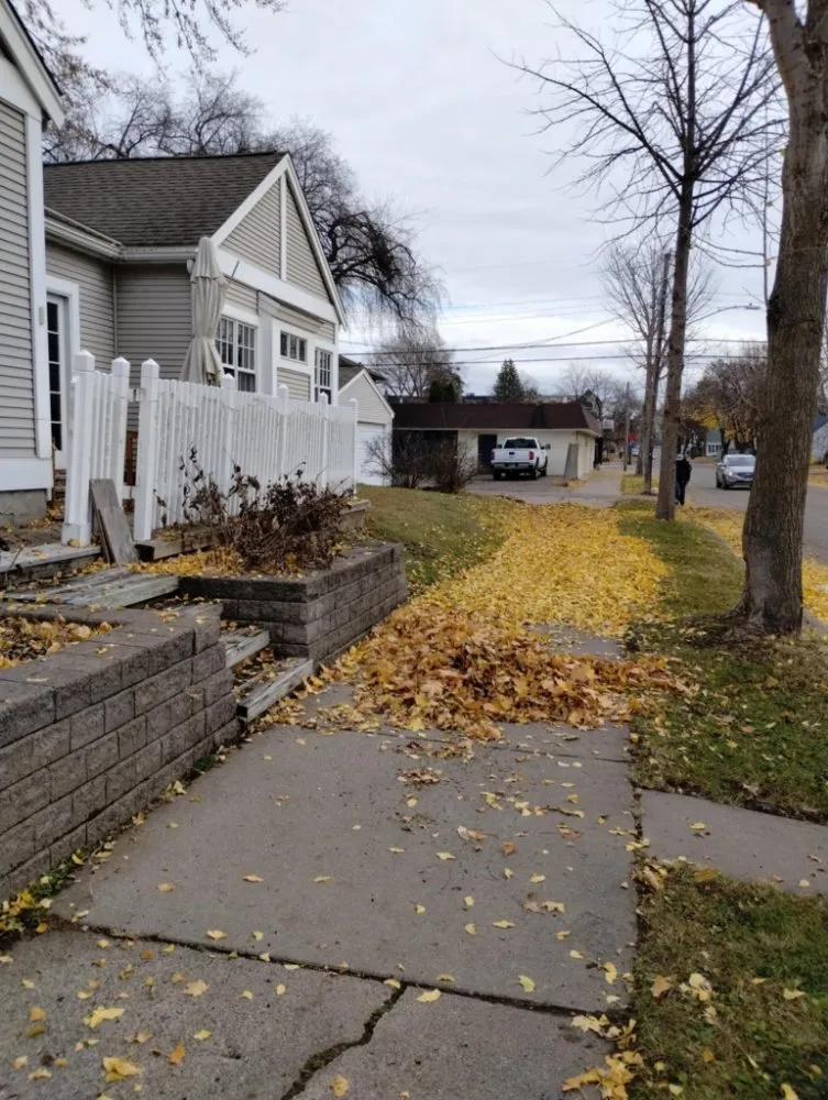 Affordable lawn mowing service for outdoor upgrades in Minneapolis, MN by Northern Bison snow and lawn service