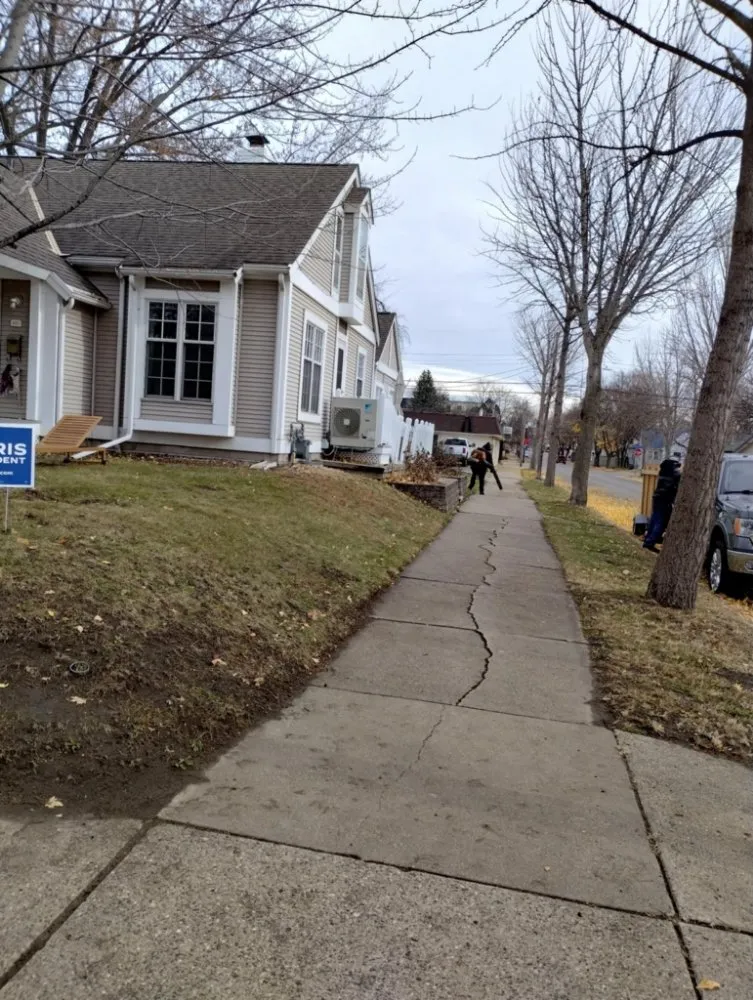 Affordable yard maintenance in Minneapolis, MN by Northern Bison snow and lawn service