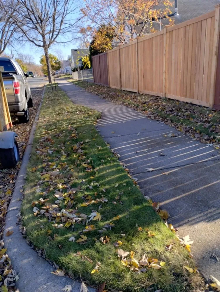 Local landscaping services in Minneapolis, MN by Northern Bison snow and lawn service