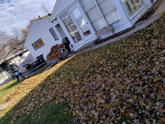 Northern Bison snow and lawn service Logo