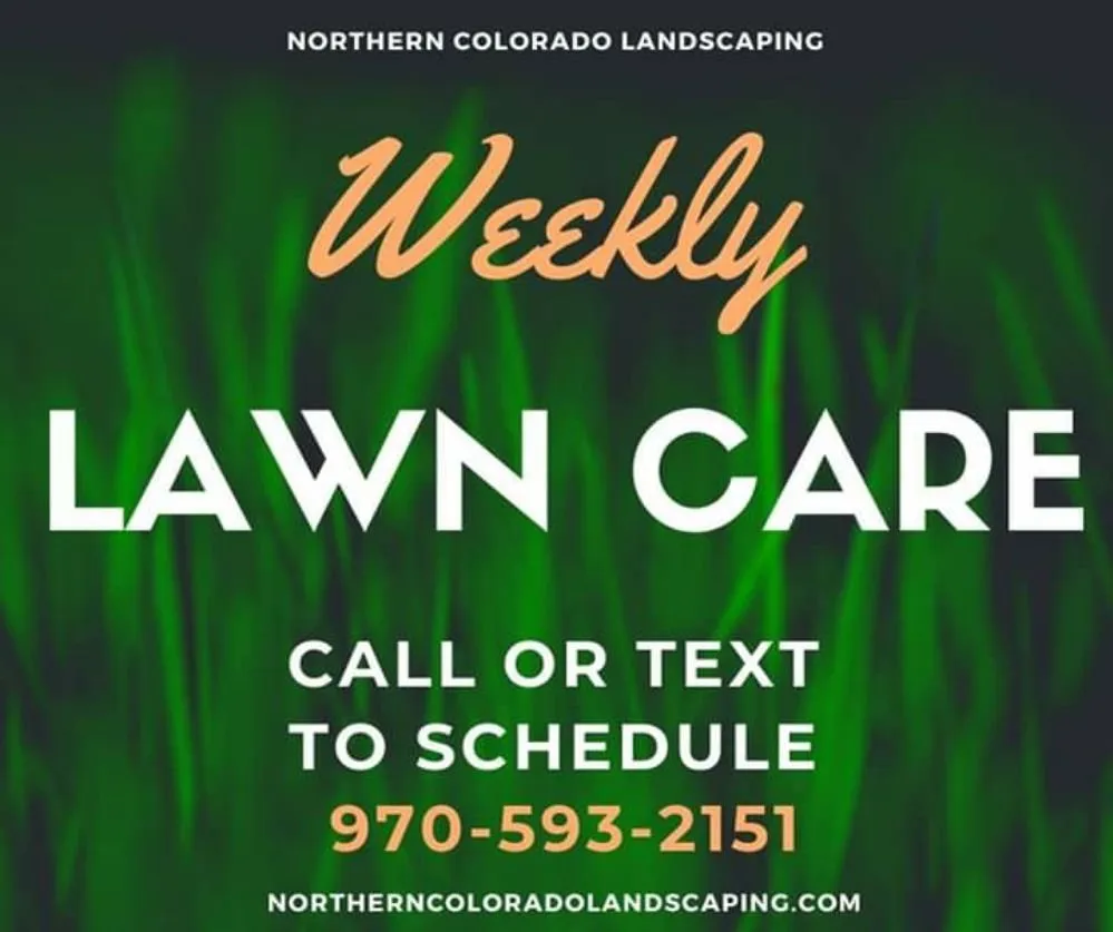Custom landscaping services experts serving Berthoud, CO - Northern Colorado Landscaping