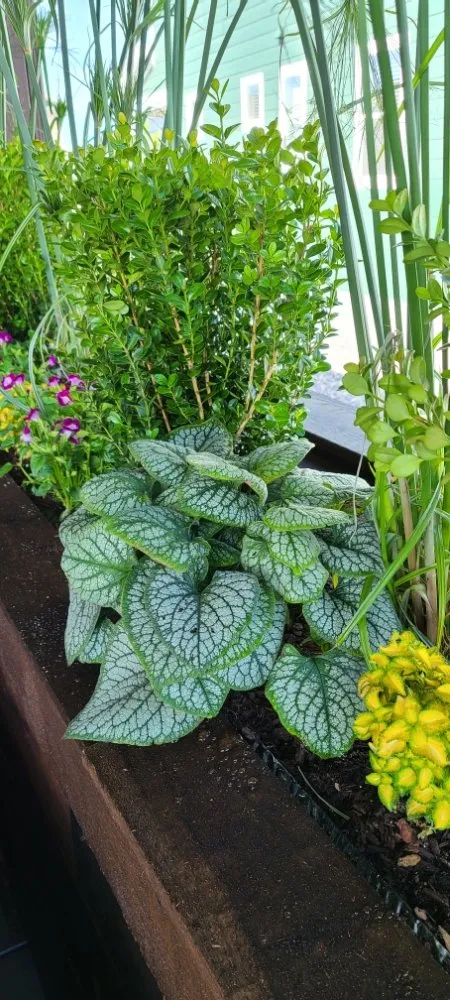 Top-rated lawn mowing service in Berthoud, CO - Northern Colorado Landscaping