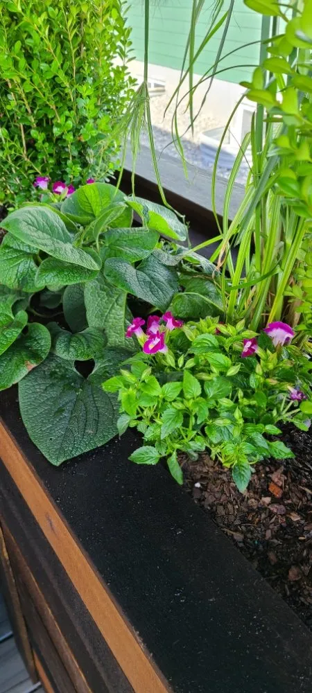 Professional landscape design experts serving Berthoud, CO - Northern Colorado Landscaping