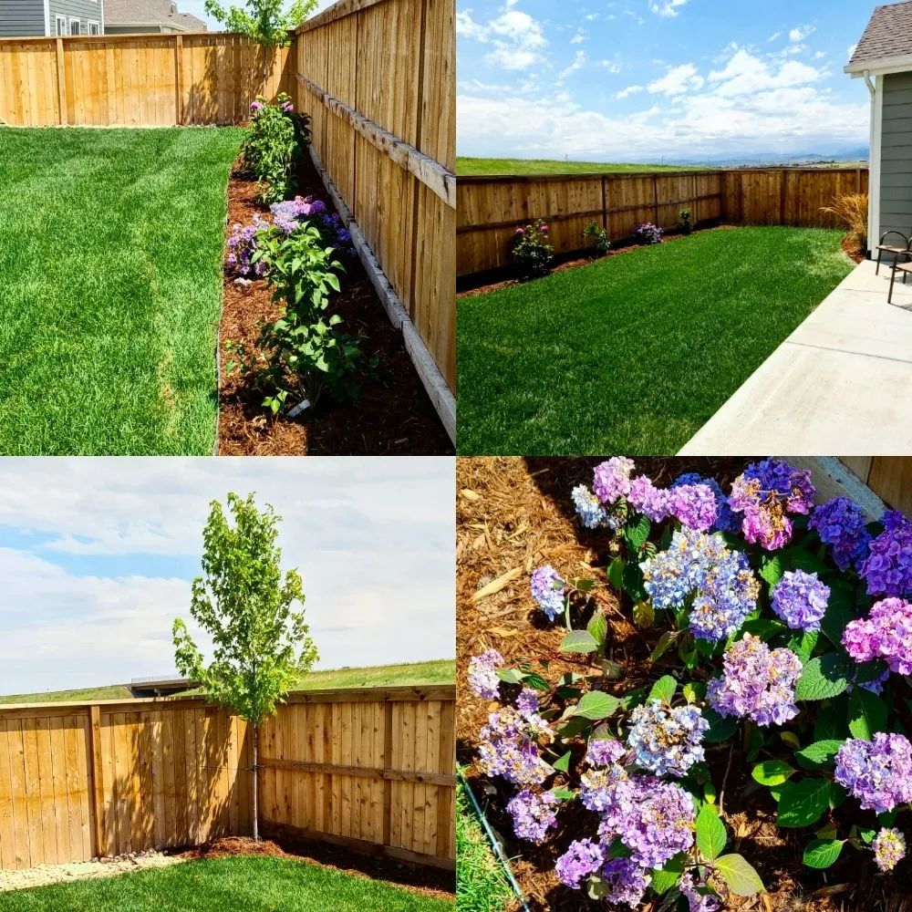 Reliable landscaping services for outdoor upgrades in Berthoud, CO by Northern Colorado Landscaping