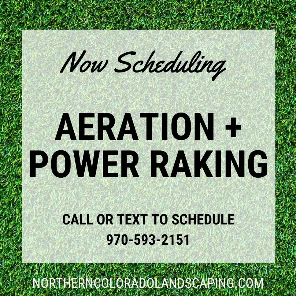 Top-rated yard cleanup service experts serving Berthoud, CO - Northern Colorado Landscaping