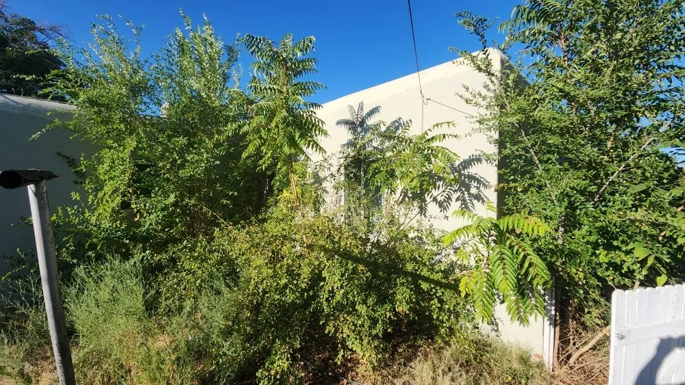 Affordable lawn care service in Rio Rancho, NM - Northern Colors Landscaping and Home Improvements