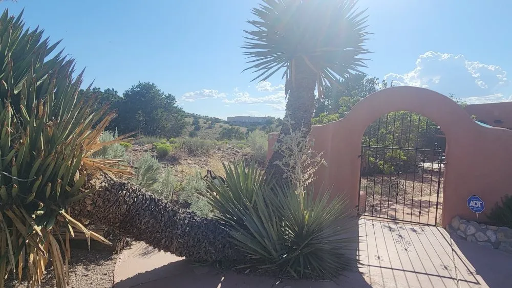 Reliable yard cleanup service in Rio Rancho, NM - Northern Colors Landscaping and Home Improvements