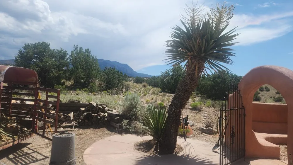 Custom lawn mowing service in Rio Rancho, NM - Northern Colors Landscaping and Home Improvements