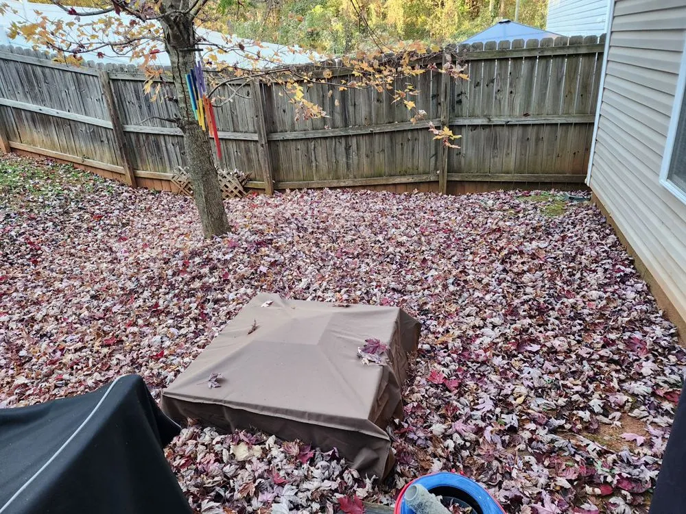 Expert garden landscaping with custom design in Charlotte, NC by Northern Creole