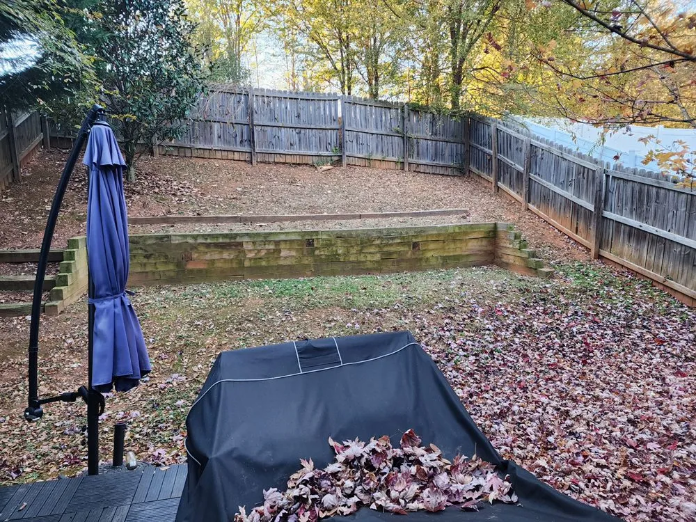 Expert yard cleanup service experts serving Charlotte, NC - Northern Creole