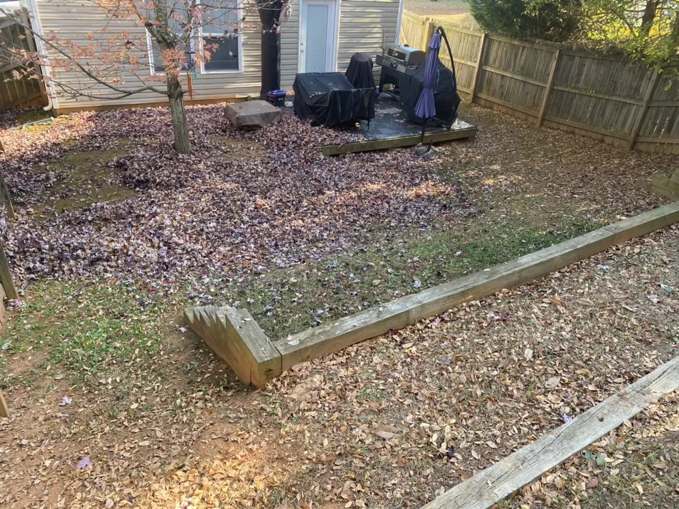 Custom landscape design in Charlotte, NC - Northern Creole